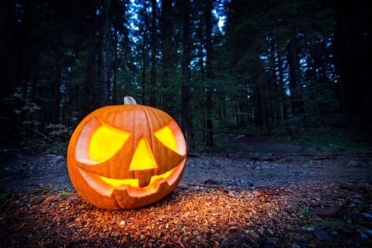 Scary halloween pumpkin in the dark forest at night