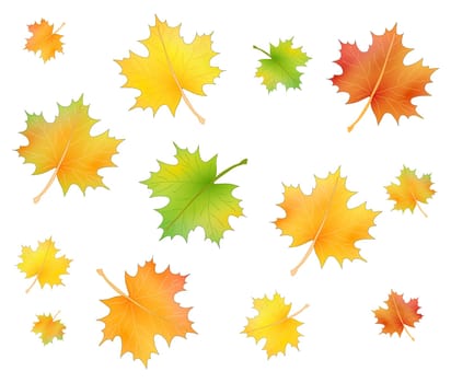 Autumn leaves set optional