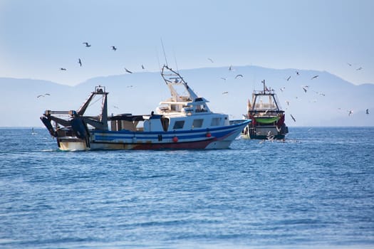 Trawler boats with seagulls in Ibiza Formentera islands