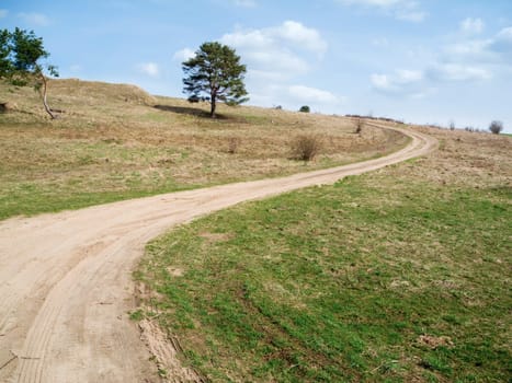 lonely sandy path in a hilly grassland with individual trees on the island of Usedom in summer