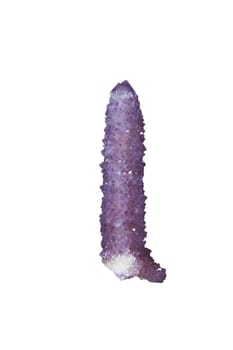Pronounced stage of an amethyst,exempted