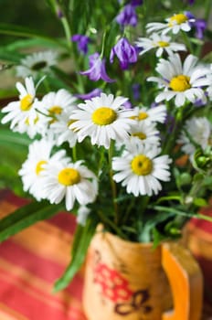 Bouquet of beautiful summer flowers, close-up