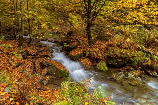 Torrent