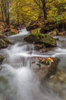Torrent