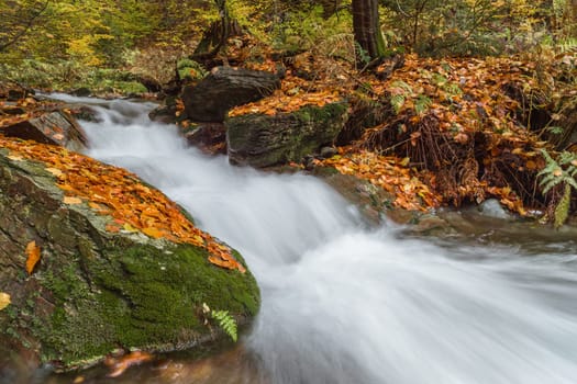 Torrent