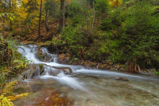 Torrent