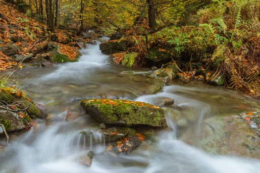 Torrent