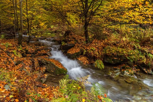 Torrent