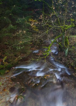 Torrent