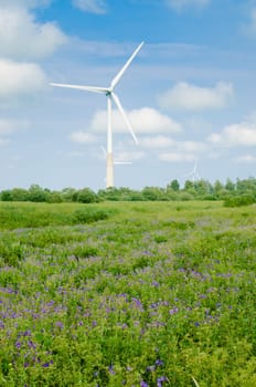Summer landscape with wind generators