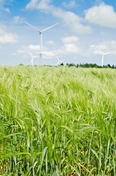 Summer landscape with wind generators