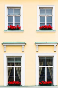 Four Windows with red flowers, close-up