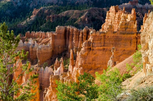 Bryce Canyon National Park in Utah in America
