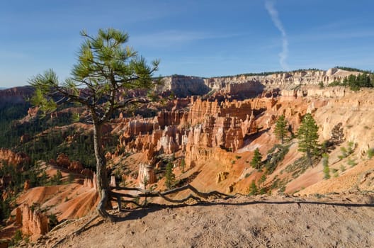 Bryce Canyon National Park in Utah in America