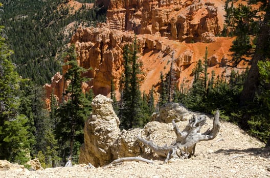 Bryce Canyon National Park in Utah in America