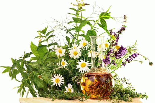 Herbs and medicinal plants,homeopathy