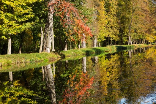 Colours in autumn,forest reflected in the water
