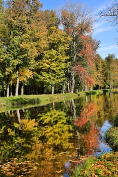 Colours in autumn,forest reflected in the water