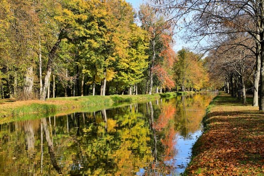 Colours in autumn,forest reflected in the water
