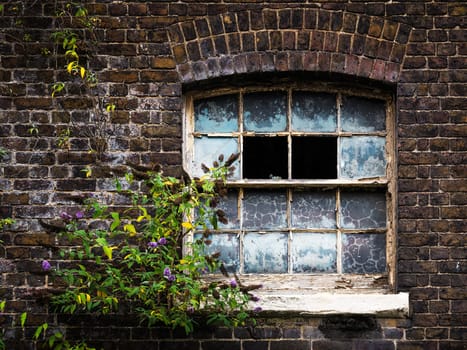 Broken window in an abandoned house
