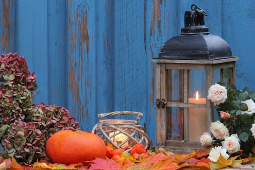 Pumpkin and hydrangea with lanterns