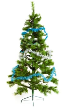 christmas tree isolated.