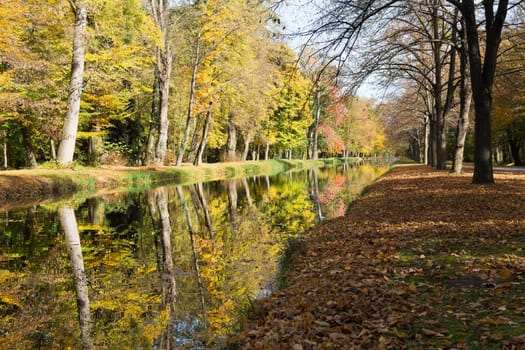 Park in autumn,deciduous tree with reflection in the water
