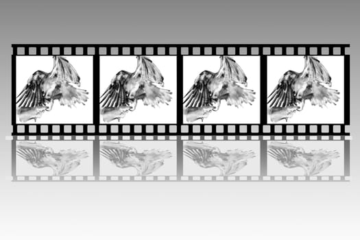 Negative film strip illustration
