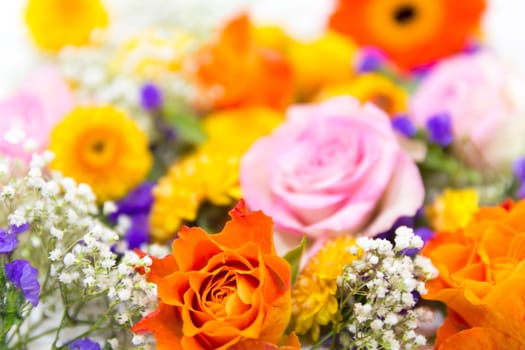 Flower carpet of roses,statice,veil herb,chrysanthemums,and marigolds,focus front
