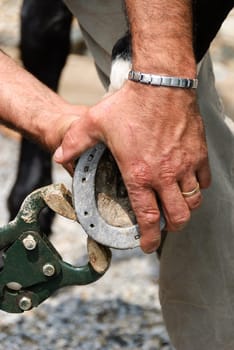 blacksmith at work on a horse's hoof