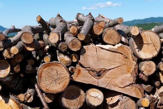 pile of wood in the mountains of Liguria