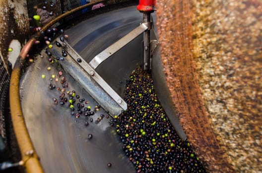 granite millstone crushing the freshly picked olives