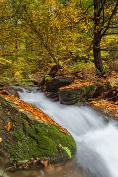 Torrent