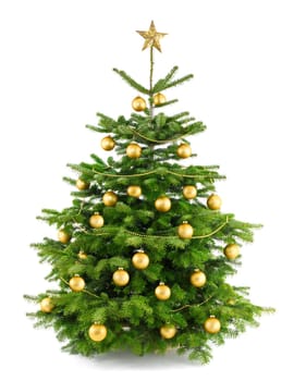 Studio shot of golden decorated Christmas tree on white
