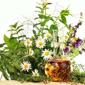 Homeopathy and cooking with herbs and medicinal plants