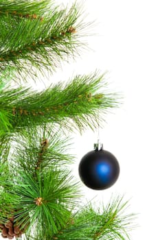 christmas ball and fir tree
