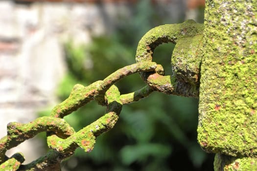 old chain on a fence in a cemetery