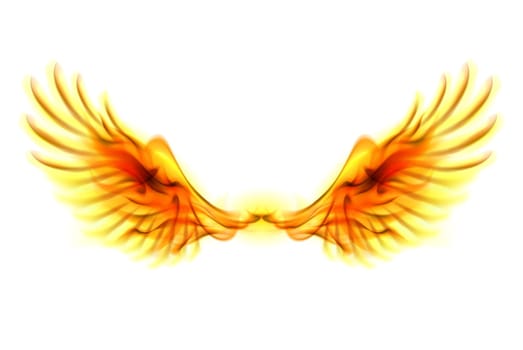 Illustration of fire wings on white background.