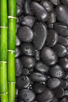 Wellness with hot stones,bamboo