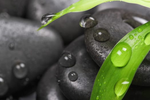 Hot stones,bamboo leaf with water drops