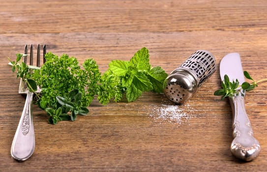 Kochen mit Kräutern,cooking with herbs
