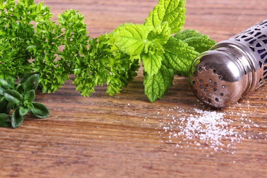 Fresh herbs with salt cellar