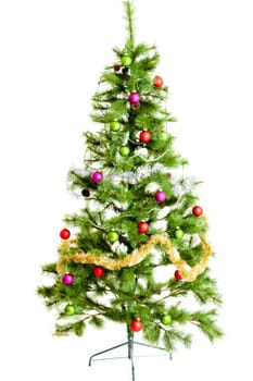 christmas tree isolated on white