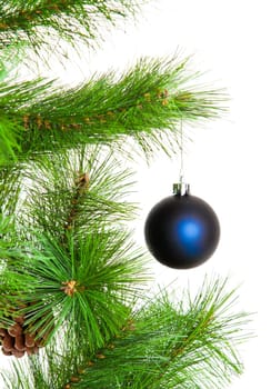 christmas ball and fir tree