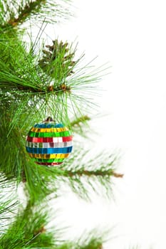 christmas ball and fir tree