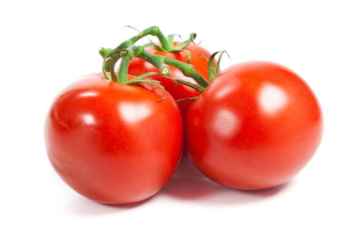 Closeup of tomatoes on the vine isolated on white. Tomato branch