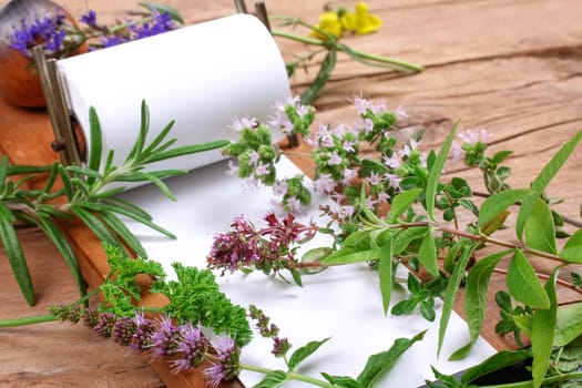 Notepad with fresh herbs