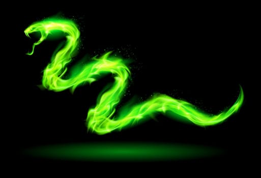Illustration of green fire snake on black background.