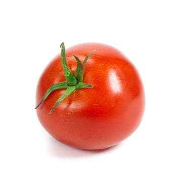 Closeup of tomatoes on the vine isolated on white. Tomato branch