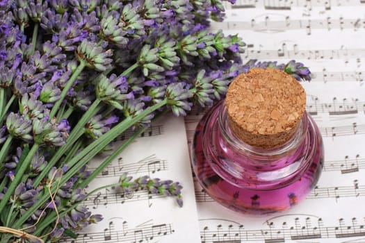 Lavender essence,Lavender essence